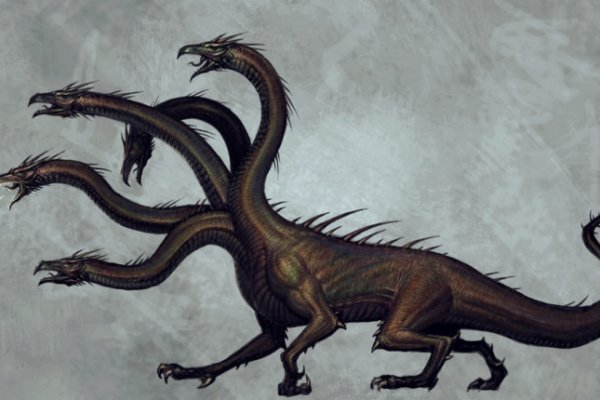 Kraken platform