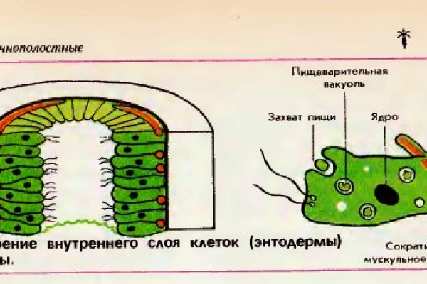 Вход на кракен зеркало