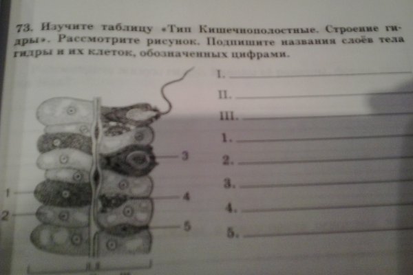 Kraken зеркало рабочее